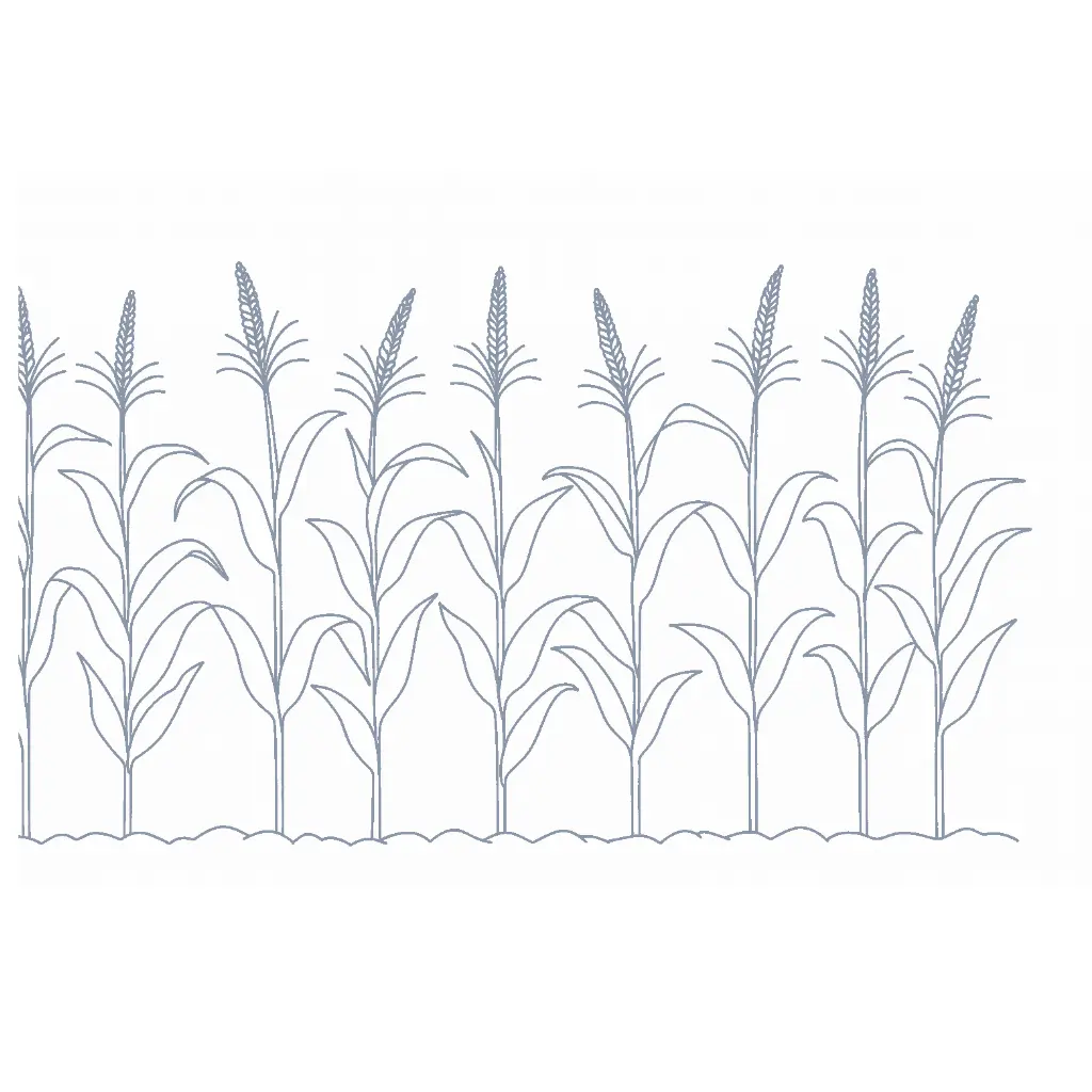 Agricultural & Food